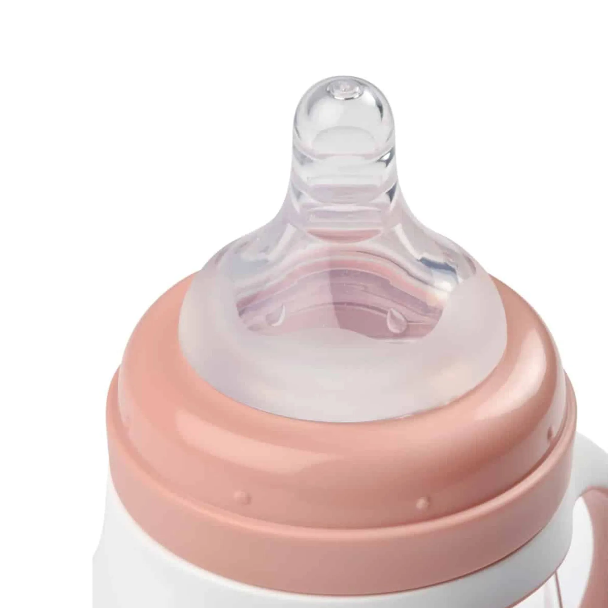 BEABA 2-In-1 Bottle To Sippy Learning Cup - Rose