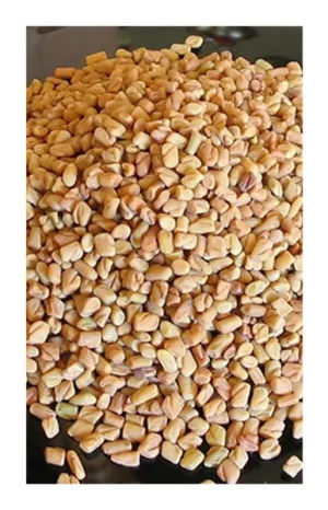 Fenugreek seed 2 oz. Bulk Herb
